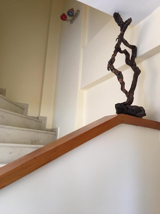 منزل الضيف أفيتوس  في Modern House المظهر الخارجي الصورة